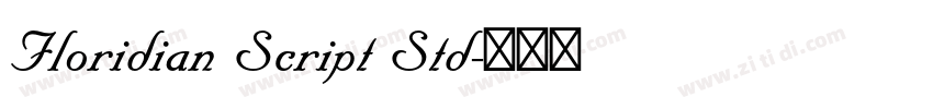 Floridian Script Std字体转换